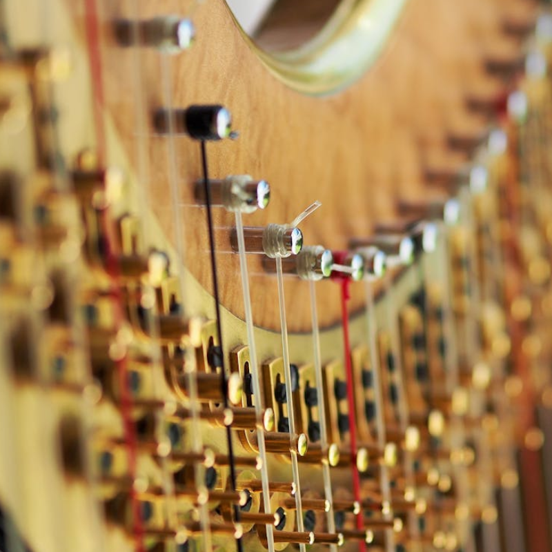 Buying A Harp - Questions to Guide You