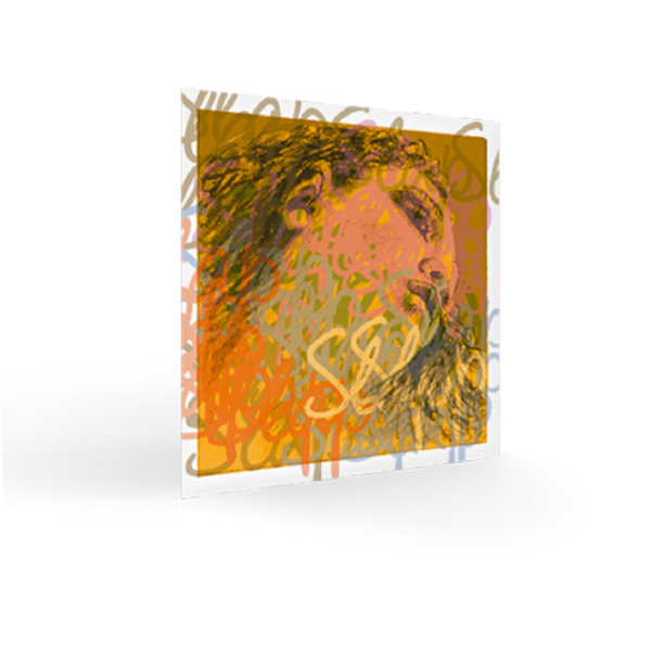 Pirastro Evah Pirazzi Slap Bass Strings