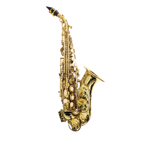 管楽器・吹奏楽器 HOLTON Curved Soplano Sax, BEAUFORT 管楽器・吹奏楽器 HOLTON Curved Soplano Sax, BEAUFORT HOLTON Curved