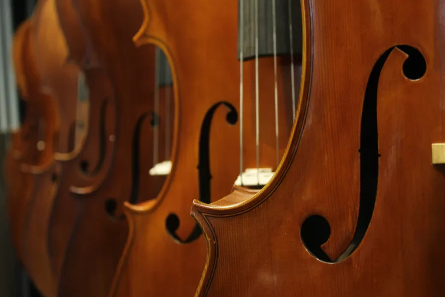 Parts of a String Instrument: Explained