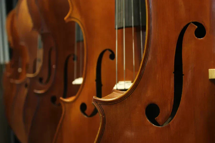 Parts of a String Instrument: Names and What Each Part Does