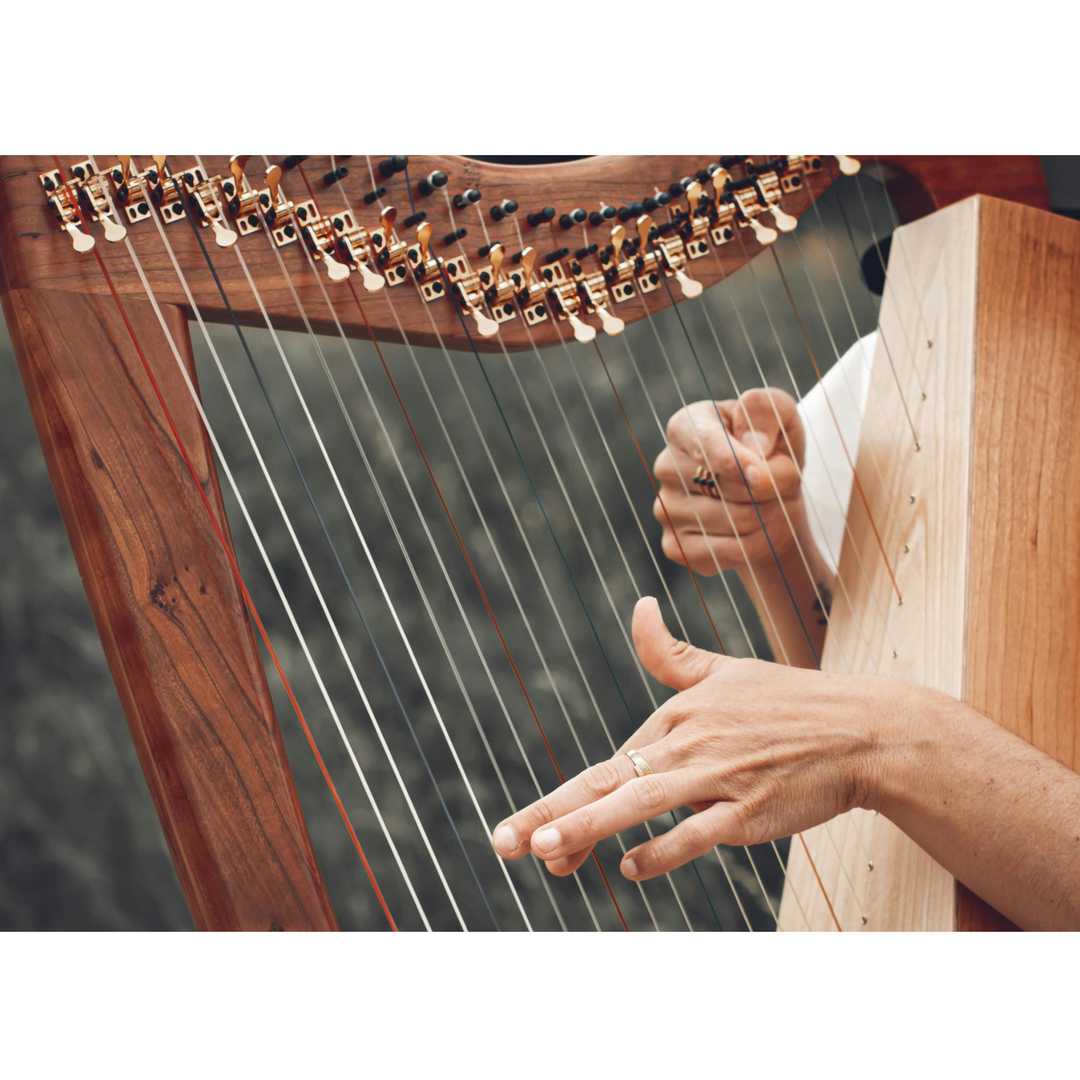 From Gut to Great: The Evolution of Harp Strings and the Rise of Synthetic Innovation