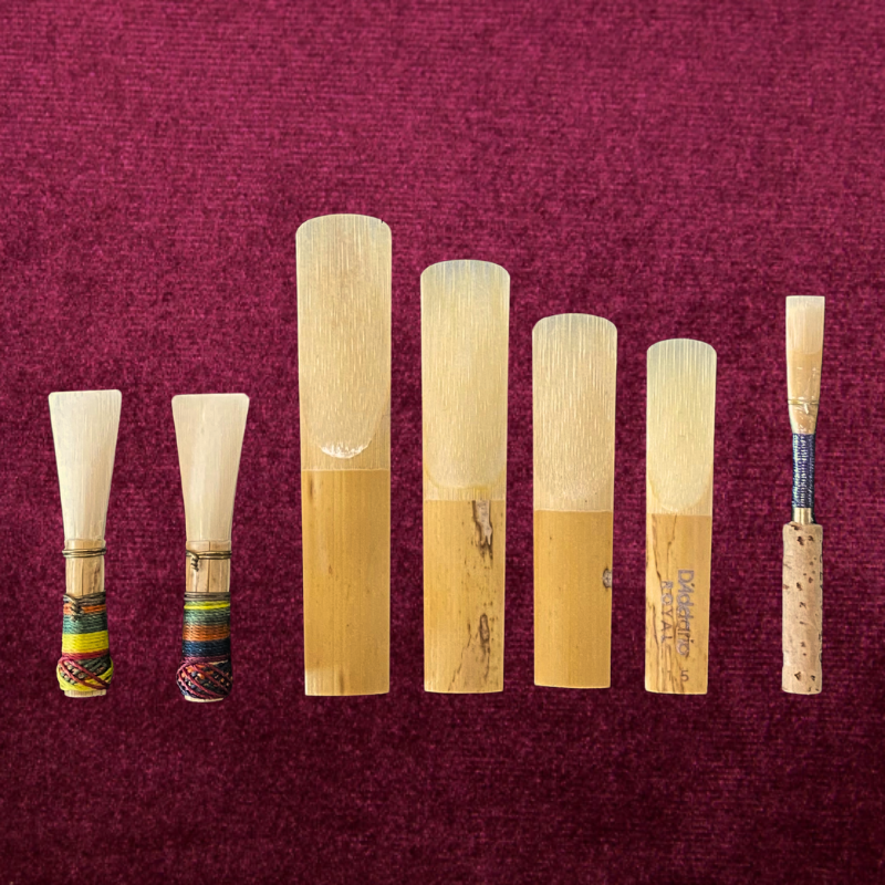 Choosing the Right Reeds for Student Woodwind Players