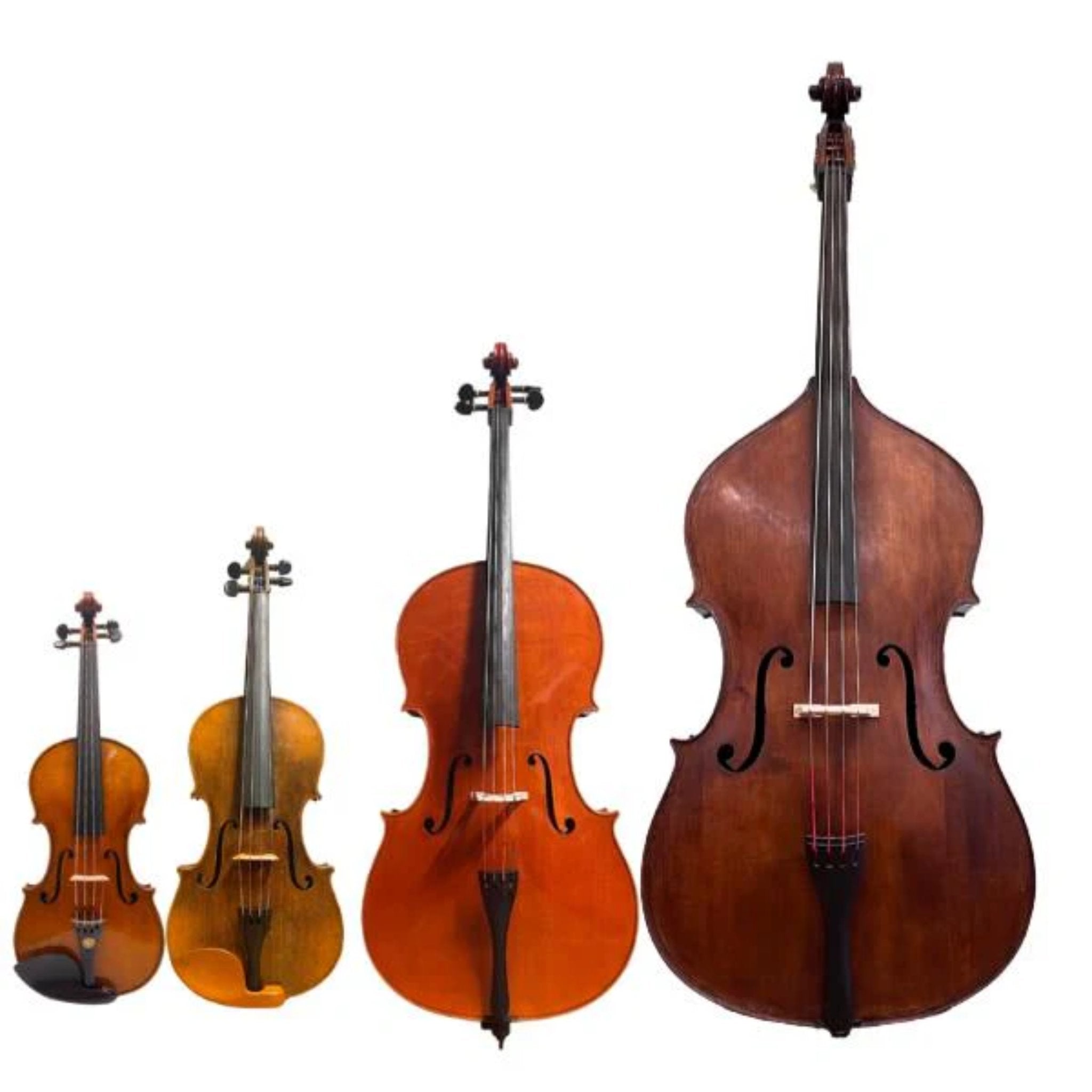 Stringed instruments