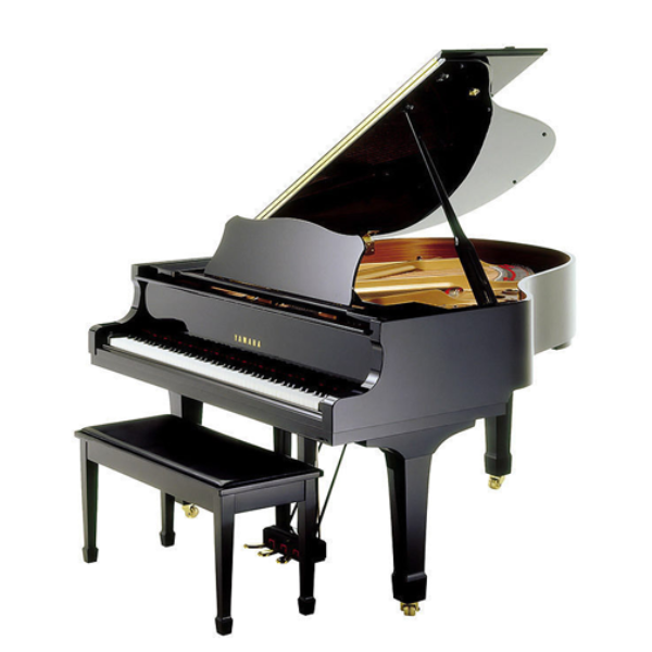 Pianos & Harps