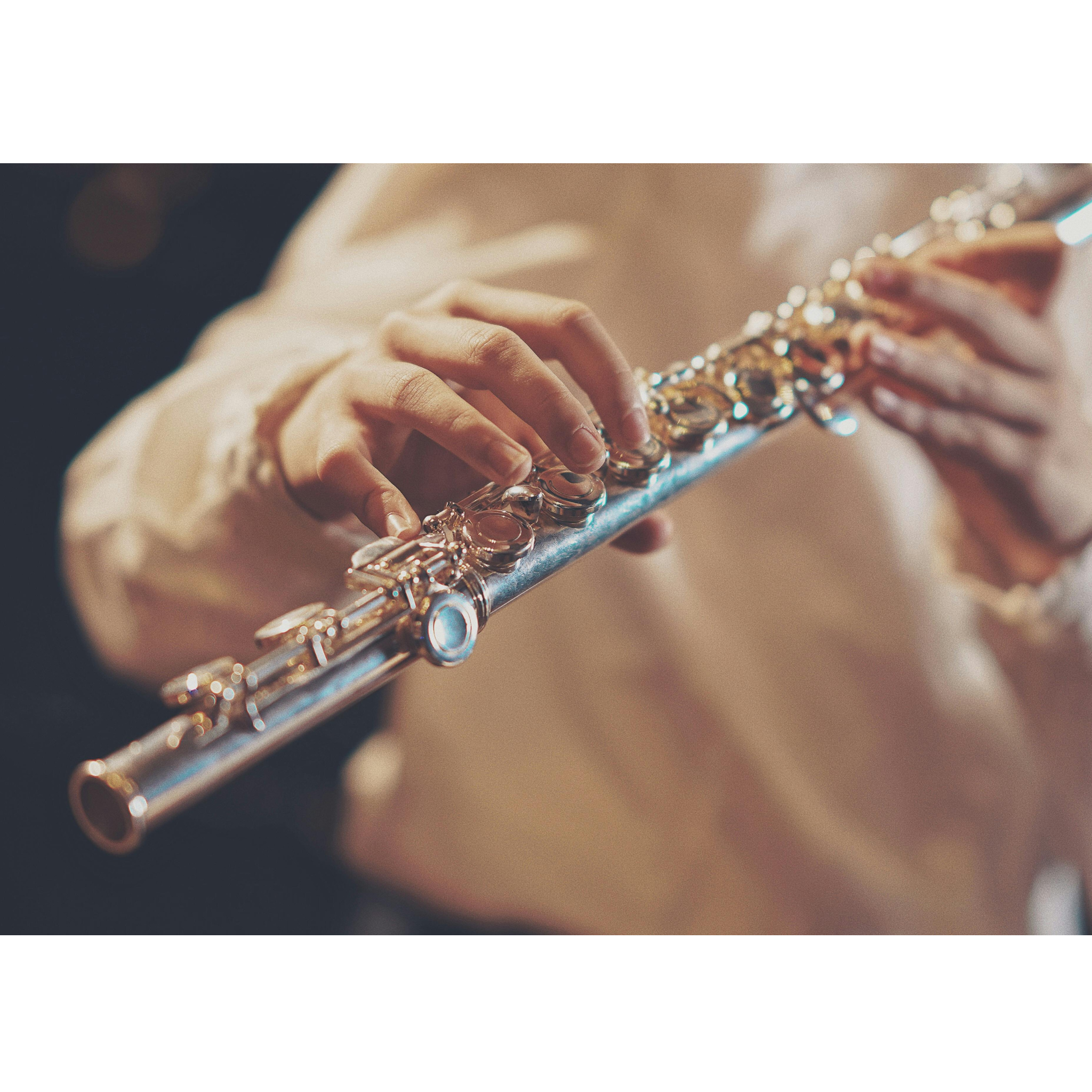 Flute Range
