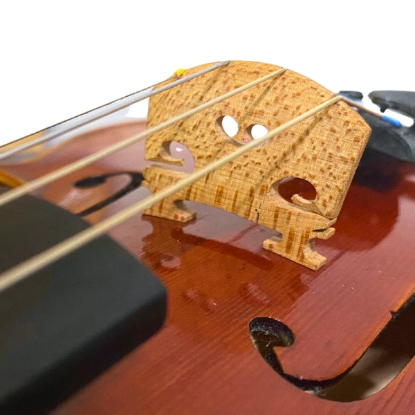 1/2 Paganini Vintage Series Violin (Trade-In) - SH243