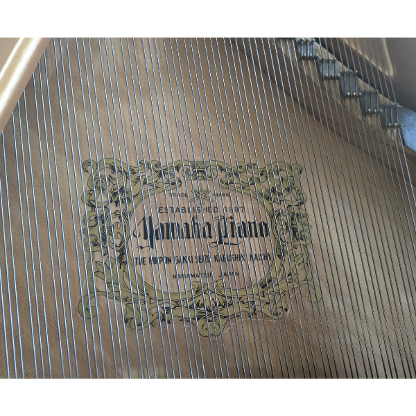 Yamaha Refurbished G3E Grand Piano (SN2233935)