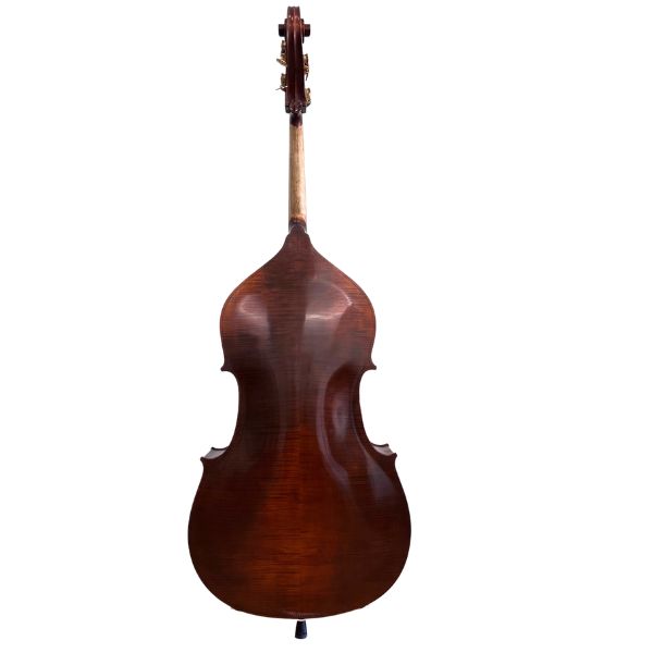 Schumann Prodigy Double Bass