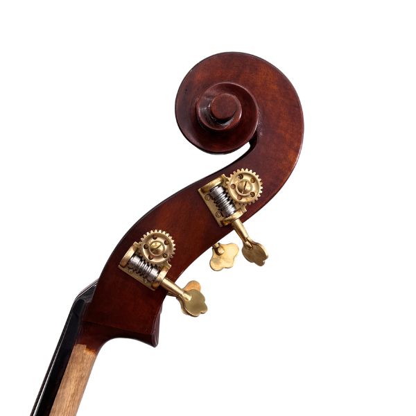 Schumann Prodigy Double Bass