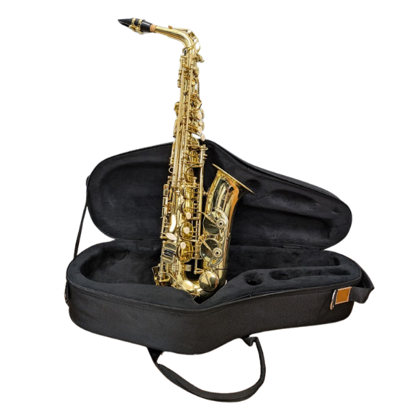 Martin Alto Saxophone