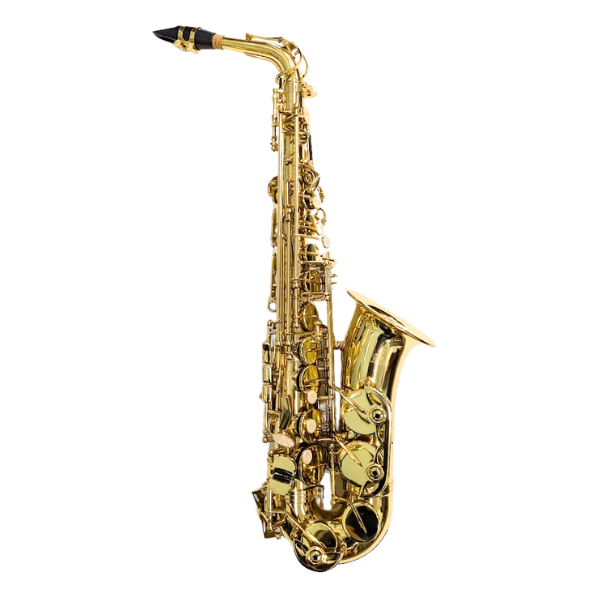 Martin Alto Saxophone