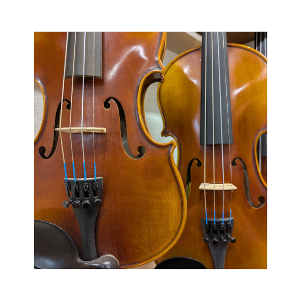 Warchal Ametyst  Violin Strings