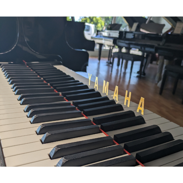 Yamaha Refurbished C3B Grand Piano (SN5830778)