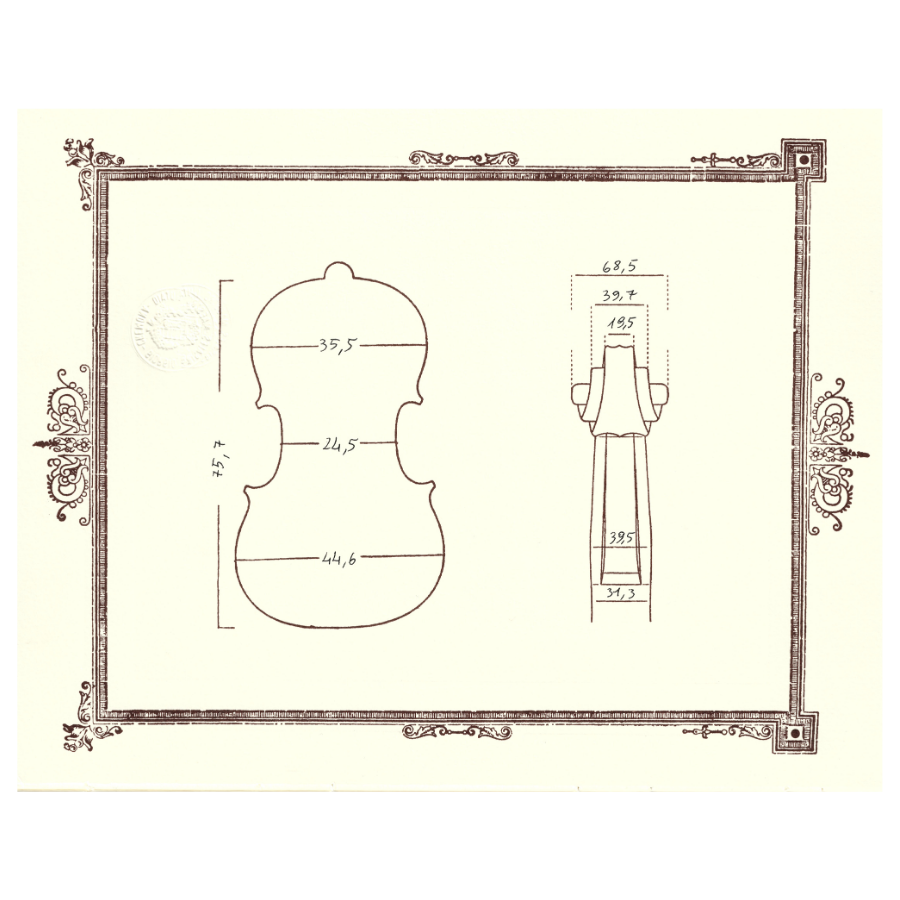 Master Maker Giorgio Grisales Cello - Cremona, Italy