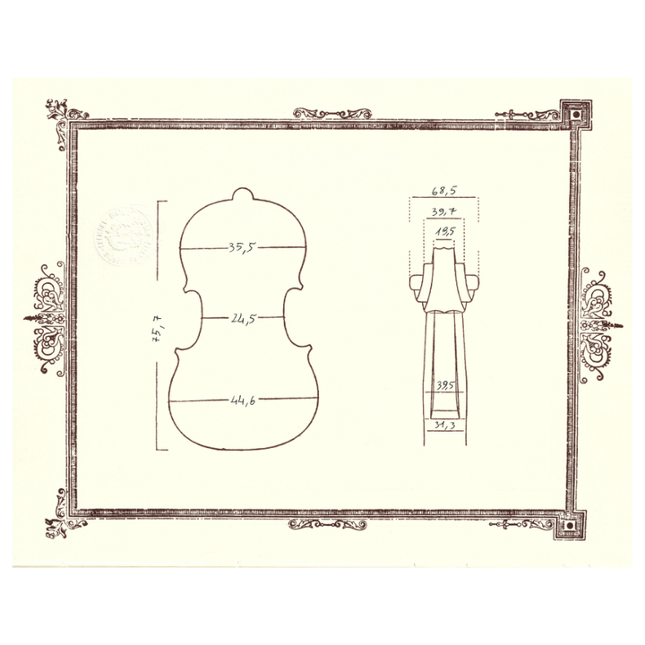 Master Maker Giorgio Grisales Cello - Cremona, Italy