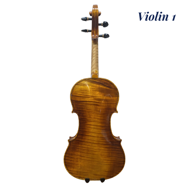 Modern Italian Violins by Master Maker Giorgio Grisales - Cremona, Italy (Guarneri Pattern)