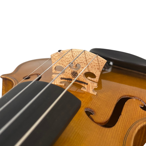 Fine Italian violin by Giovanni Battista Pallaver, 1967