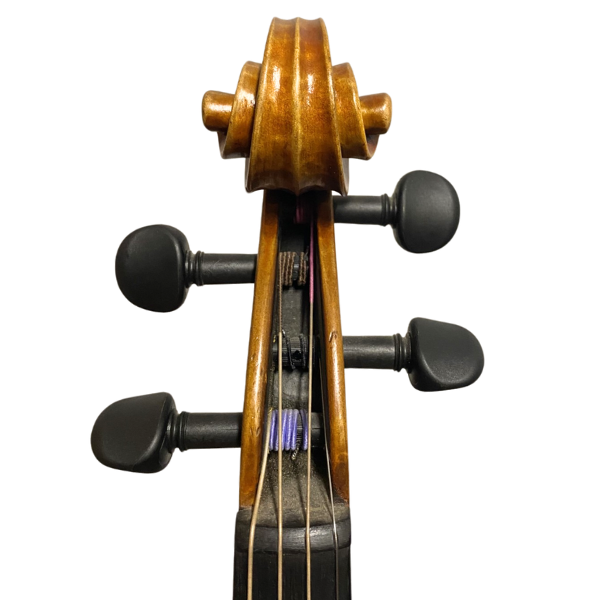 Jay Haide L'Ancienne Model Viola