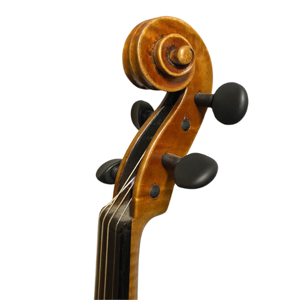 Jay Haide L'Ancienne Model Viola