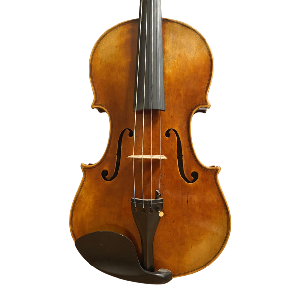 Jay Haide L'Ancienne Model Viola