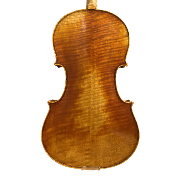 Jay Haide L'Ancienne Model Viola