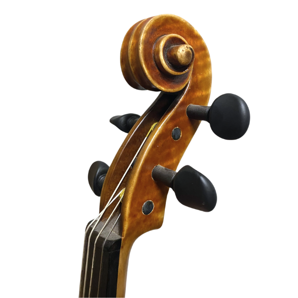 Jay Haide L'Ancienne Model Viola