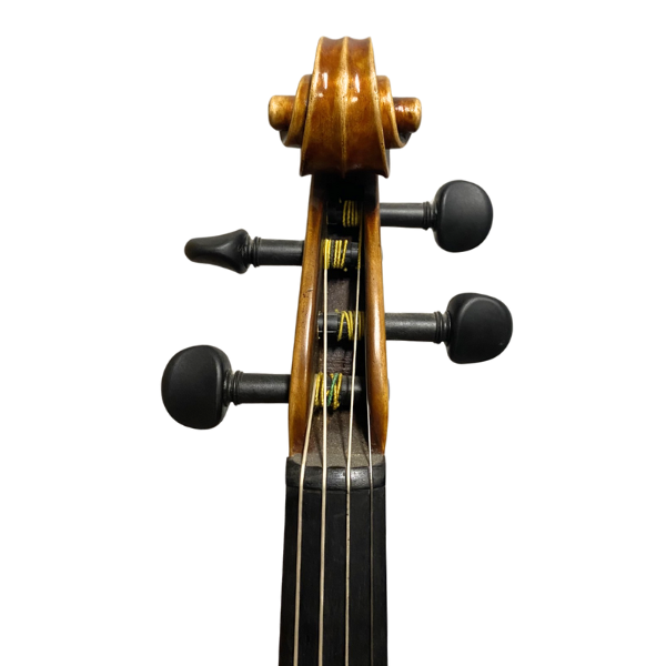 Jay Haide L'Ancienne Model Viola