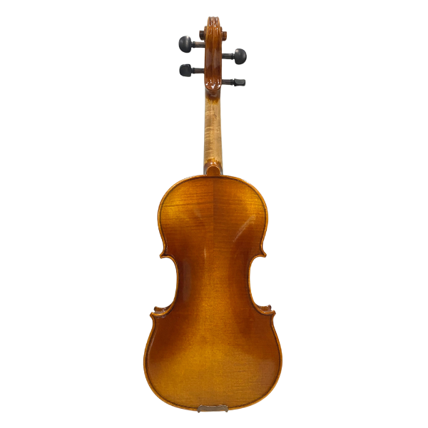 Paganini 1000 Series Violin Outfit