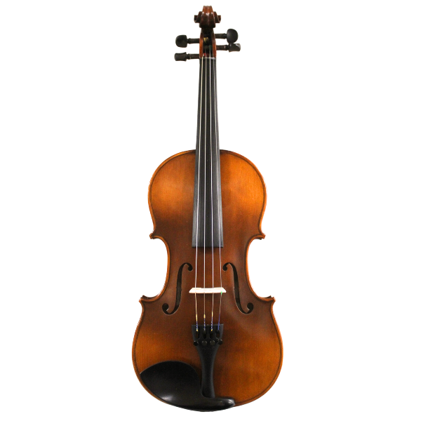 Paganini 500 Series Violin Outfit