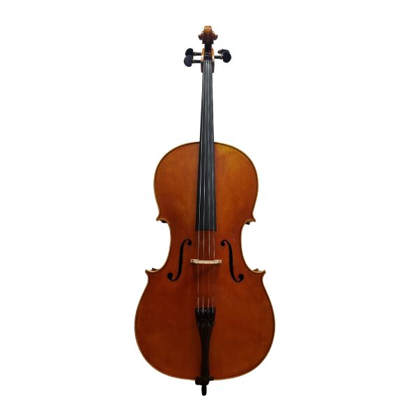 Modern Italian Cello by Paolo Rizzo (Grisales Workshop Cello)