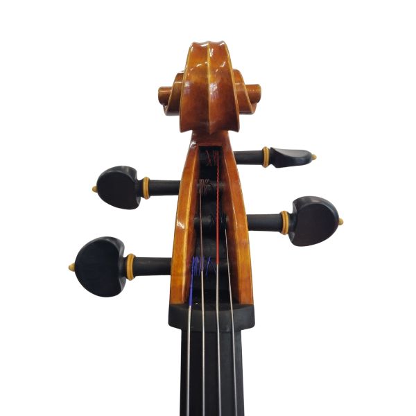 Modern Italian Cello by Paolo Rizzo (Grisales Workshop Cello)