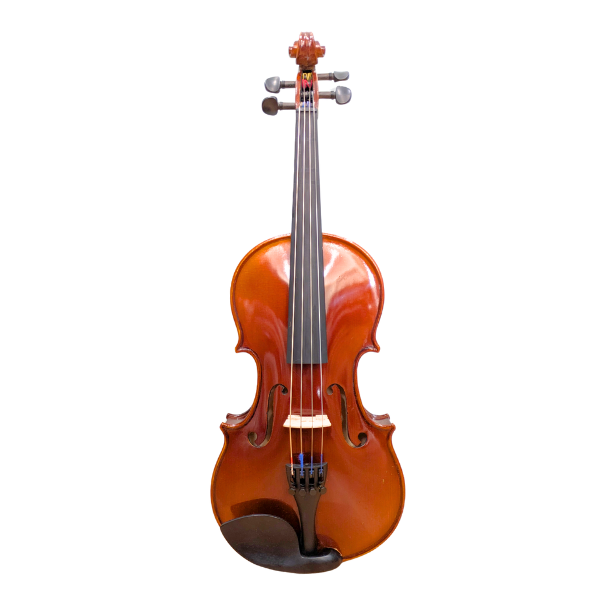 12" Schumann Prodigy Viola Outfit (Second Hand)