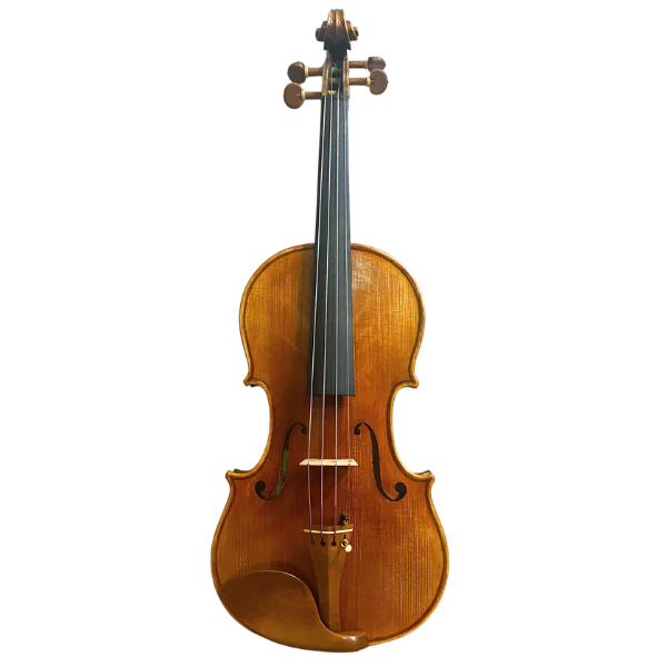 Modern Italian Violin by Stefano Trabucchi