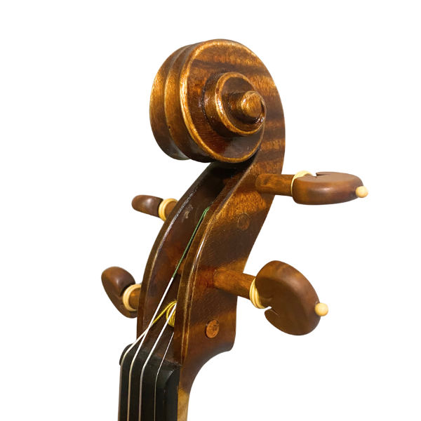 Modern Italian Violin by Stefano Trabucchi