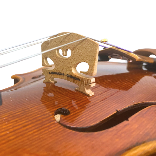 Modern Italian Violin by Stefano Trabucchi