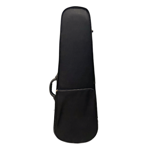 Violin Shaped Case