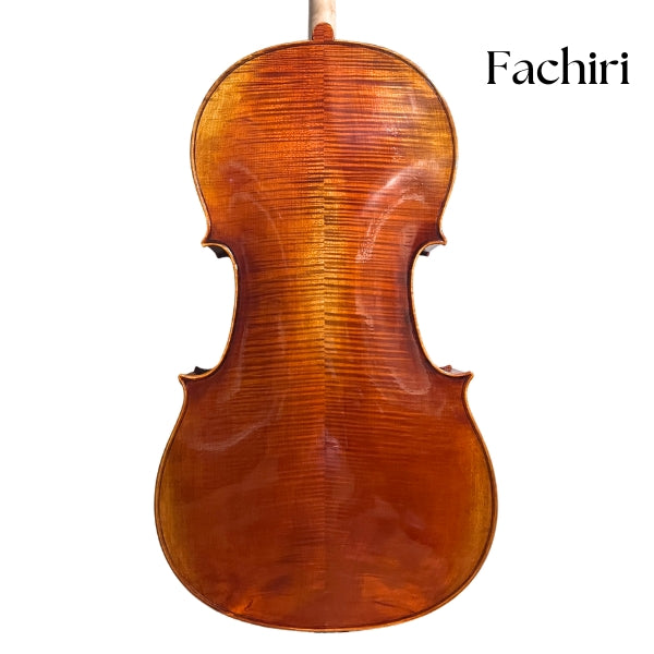 Soliste Cello