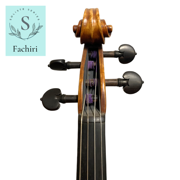 Soliste Violas