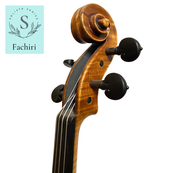 Soliste Violas