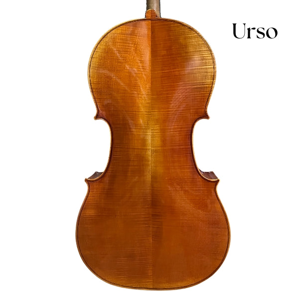 Soliste Cello