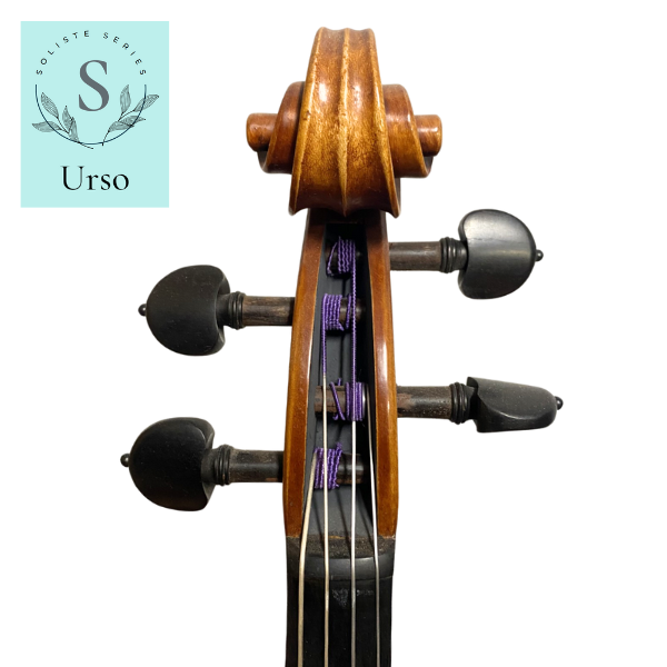 Soliste Violas