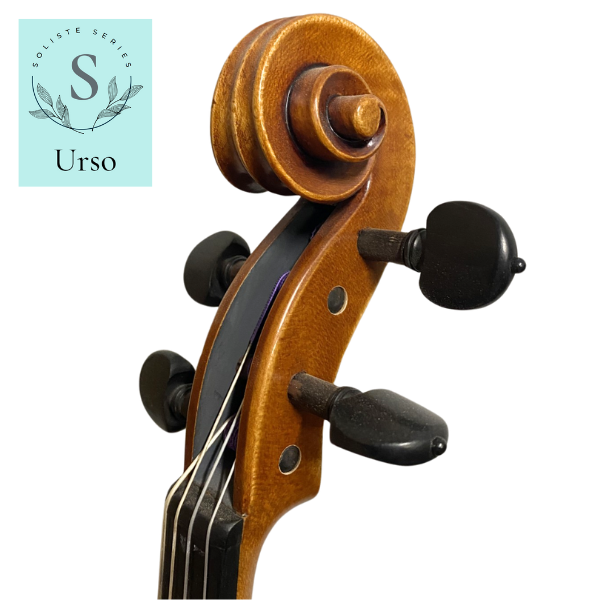 Soliste Violas