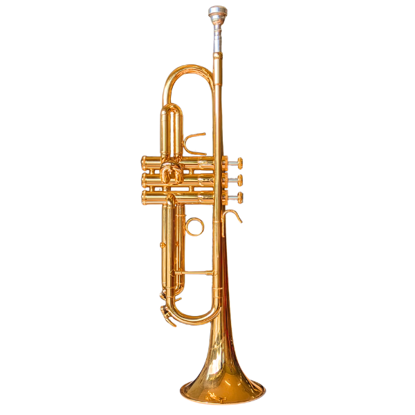 Steinmeyer 300GF Gold-Plated Professional Trumpet