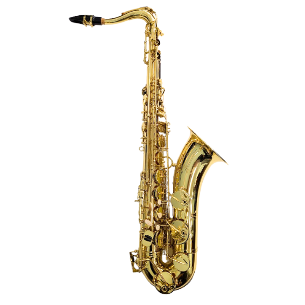 Martin Tenor Saxophone