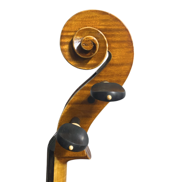 Filippo Anselmi Cello (Made in the workshop of Stefano Trabucchi)