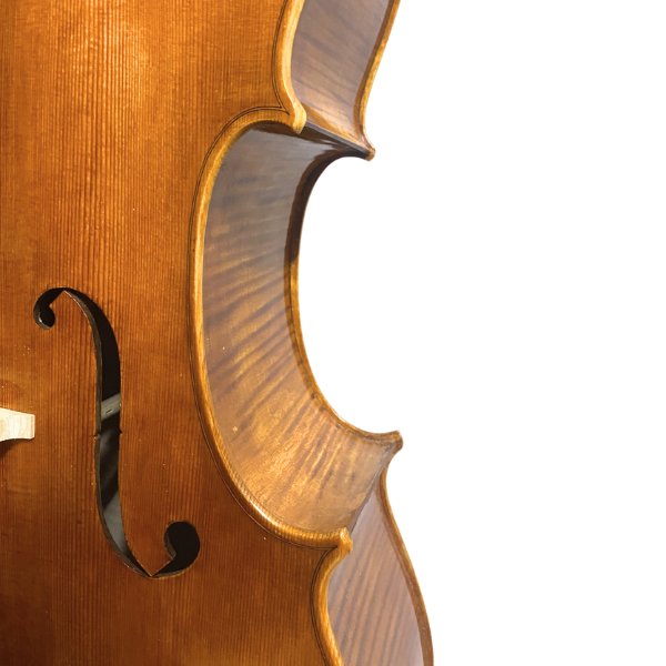 Filippo Anselmi Cello (Made in the workshop of Stefano Trabucchi)