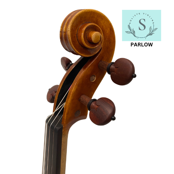Soliste Parlow Violin