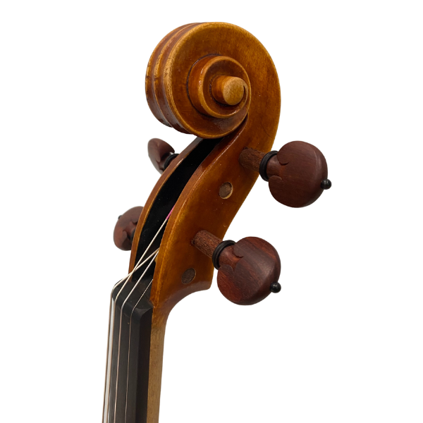 Soliste Violins