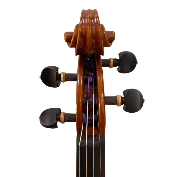 Modern Italian Violin by Paolo Traversi (Giorgio Grisales Workshop Violin)